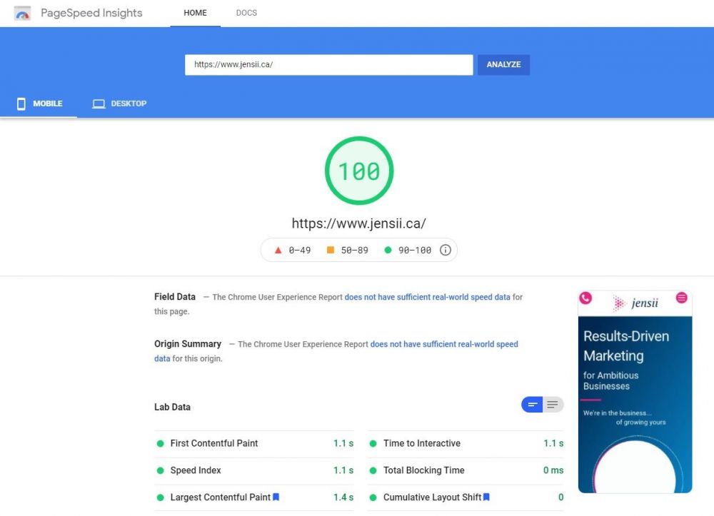 jensii.ca website scores 100 on Google Page Speed Insights